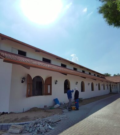 Stable for Desert Palm
