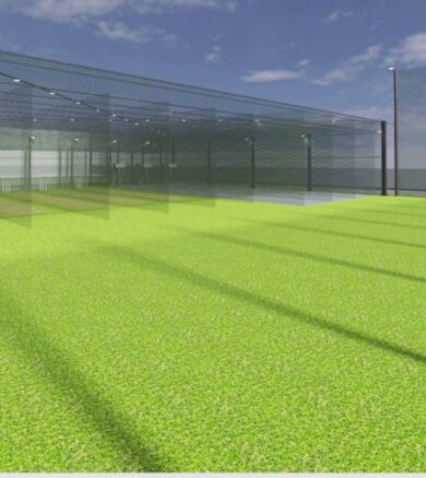 Cricket Pitch